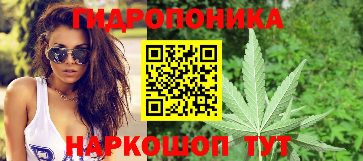 Ливны  Конопля семена  Вход с VPN  Шишки марихуана план  Каннабис план  Бошки марихуана план 